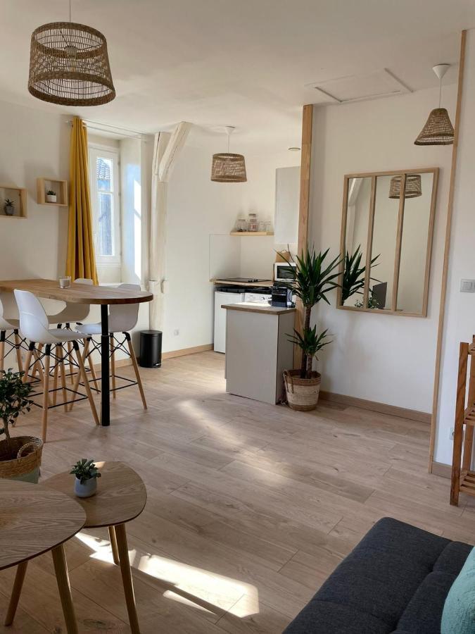 Le Velo Bleu Apartment Troyes Ngoại thất bức ảnh